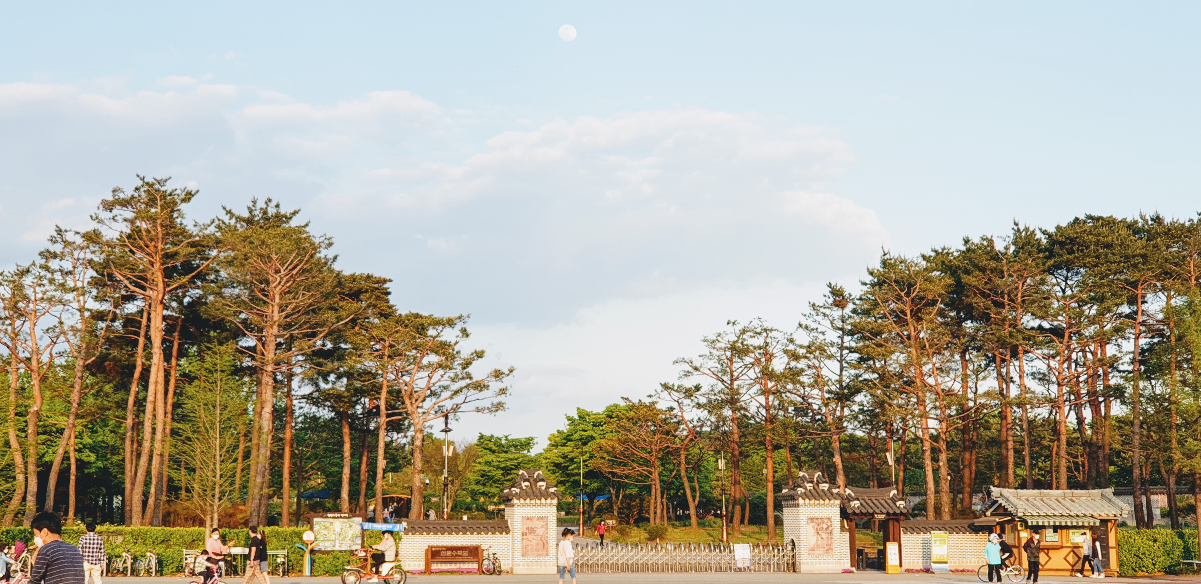 한밭수목원 출입구와 소나무·달. Ryuch,2021-04-25촬영,CC BY-SA4.0. 현재 통행·풍경·운영시간을 확인한 사진이 아닙니다.